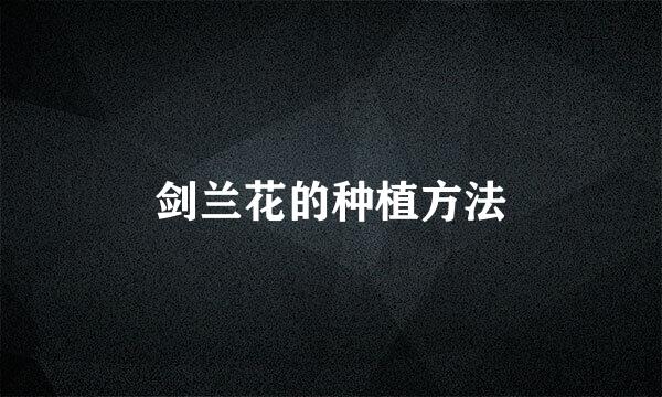 剑兰花的种植方法