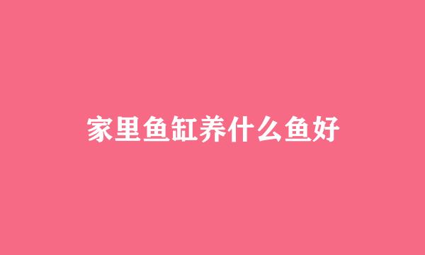 家里鱼缸养什么鱼好