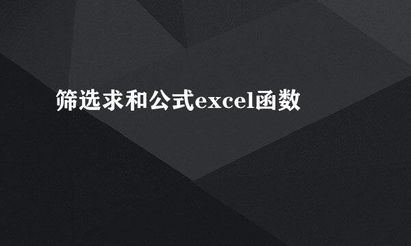 筛选求和公式excel函数