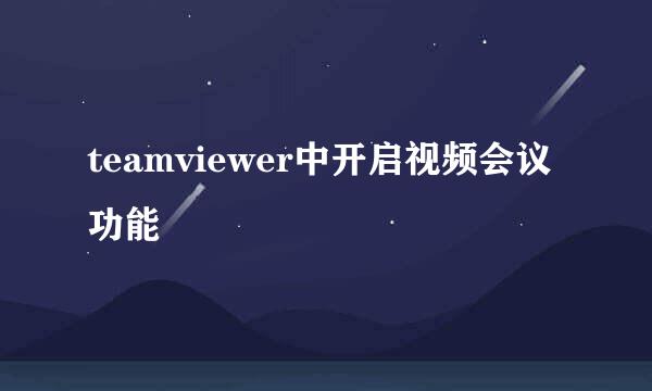 teamviewer中开启视频会议功能
