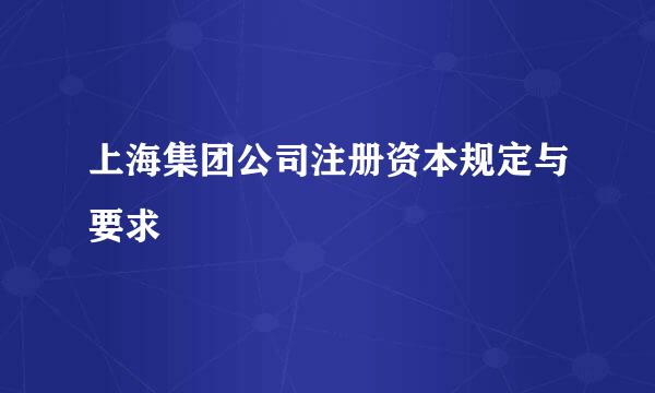 上海集团公司注册资本规定与要求