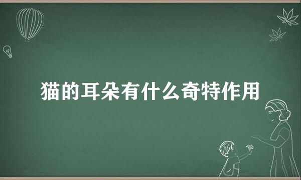 猫的耳朵有什么奇特作用