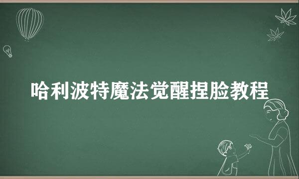 哈利波特魔法觉醒捏脸教程