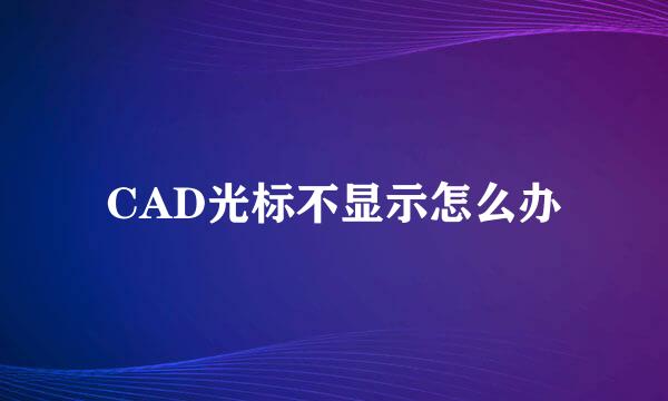 CAD光标不显示怎么办
