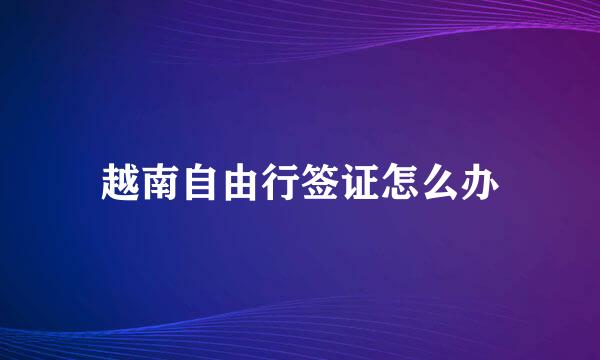 越南自由行签证怎么办