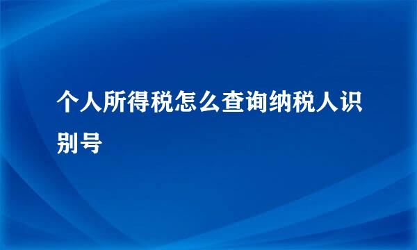 个人所得税怎么查询纳税人识别号