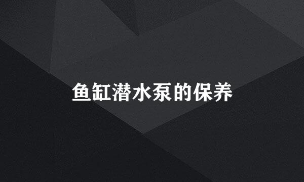 鱼缸潜水泵的保养