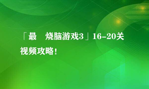 「最囧烧脑游戏3」16-20关视频攻略！