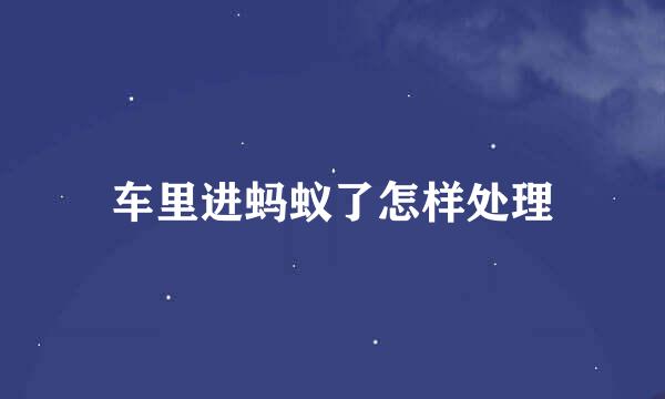 车里进蚂蚁了怎样处理