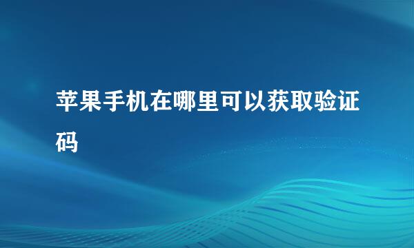 苹果手机在哪里可以获取验证码