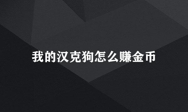 我的汉克狗怎么赚金币