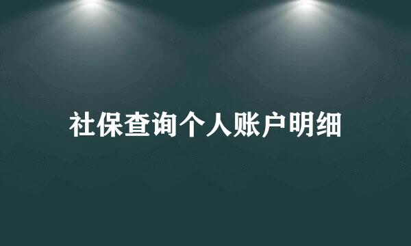 社保查询个人账户明细