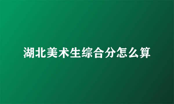 湖北美术生综合分怎么算