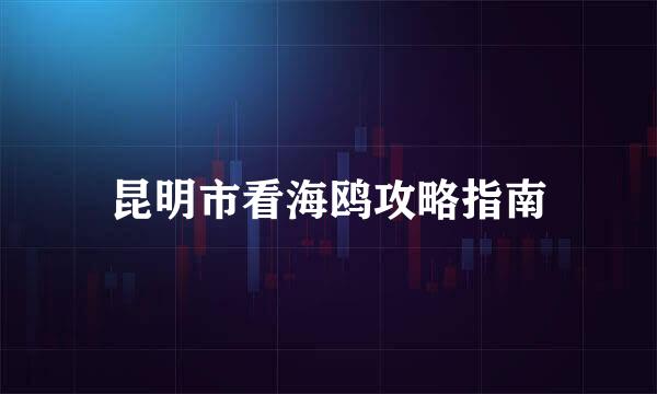 昆明市看海鸥攻略指南