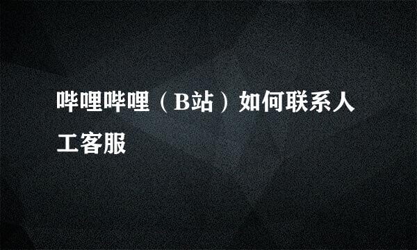 哔哩哔哩（B站）如何联系人工客服