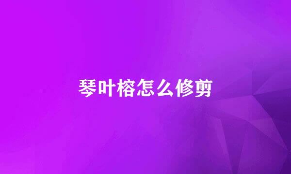 琴叶榕怎么修剪
