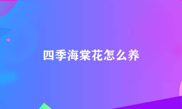 四季海棠花怎么养