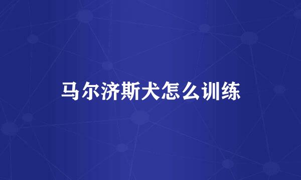 马尔济斯犬怎么训练