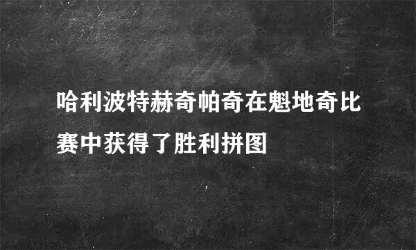 哈利波特赫奇帕奇在魁地奇比赛中获得了胜利拼图