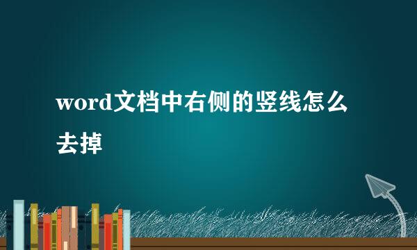 word文档中右侧的竖线怎么去掉