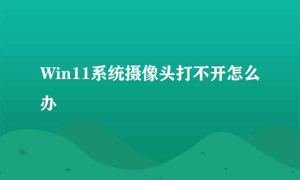 Win11系统摄像头打不开怎么办
