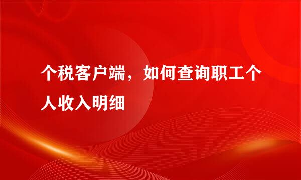 个税客户端，如何查询职工个人收入明细