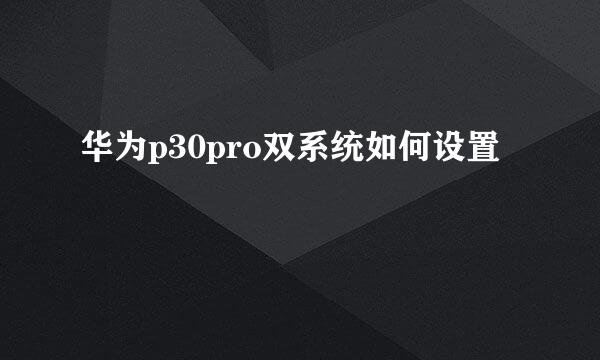 华为p30pro双系统如何设置