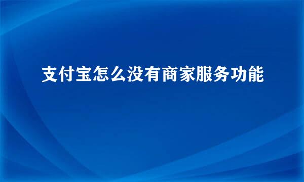 支付宝怎么没有商家服务功能