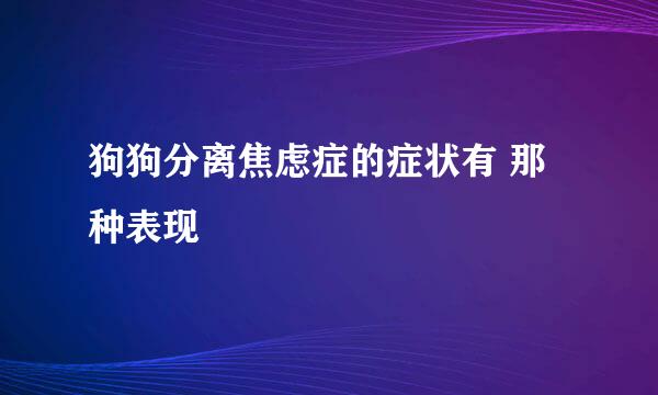 狗狗分离焦虑症的症状有 那种表现