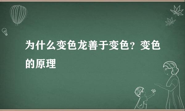为什么变色龙善于变色？变色的原理