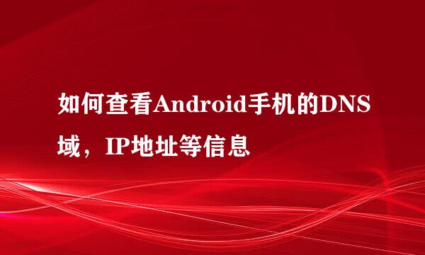 如何查看Android手机的DNS域，IP地址等信息
