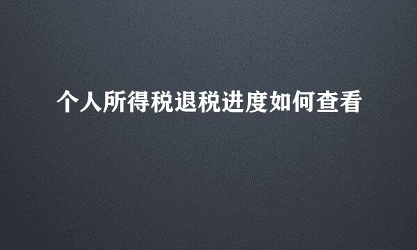 个人所得税退税进度如何查看