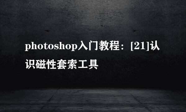 photoshop入门教程：[21]认识磁性套索工具