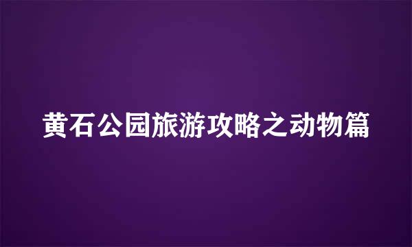 黄石公园旅游攻略之动物篇
