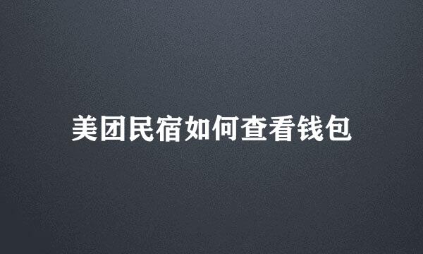 美团民宿如何查看钱包