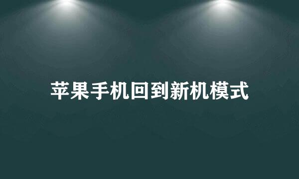 苹果手机回到新机模式