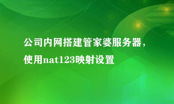 公司内网搭建管家婆服务器，使用nat123映射设置