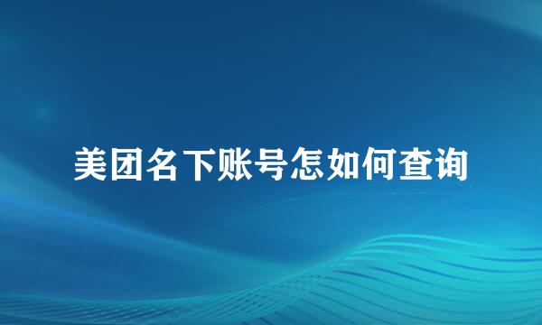 美团名下账号怎如何查询