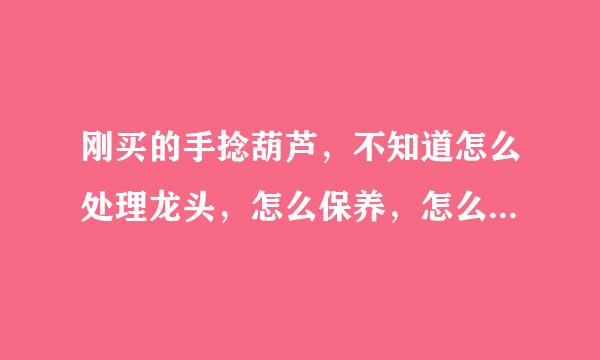 刚买的手捻葫芦，不知道怎么处理龙头，怎么保养，怎么能让葫芦快点上色 希望得到前辈指点