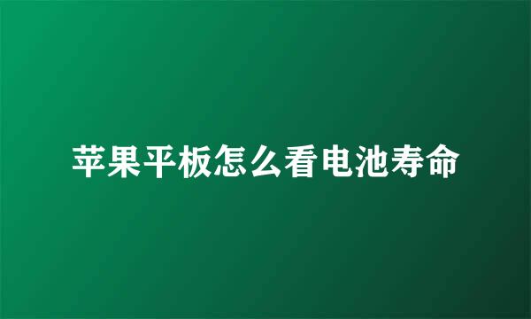 苹果平板怎么看电池寿命