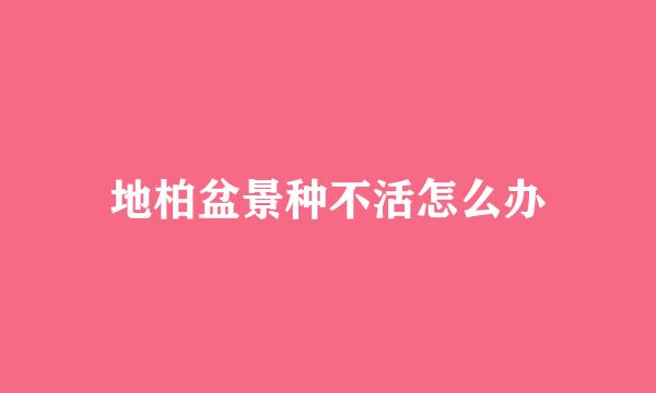 地柏盆景种不活怎么办