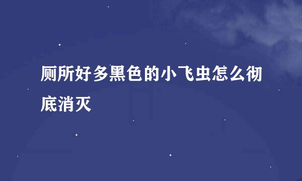 厕所好多黑色的小飞虫怎么彻底消灭