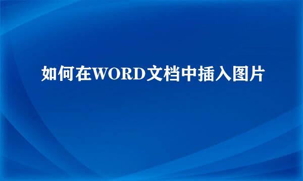 如何在WORD文档中插入图片