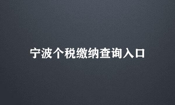 宁波个税缴纳查询入口
