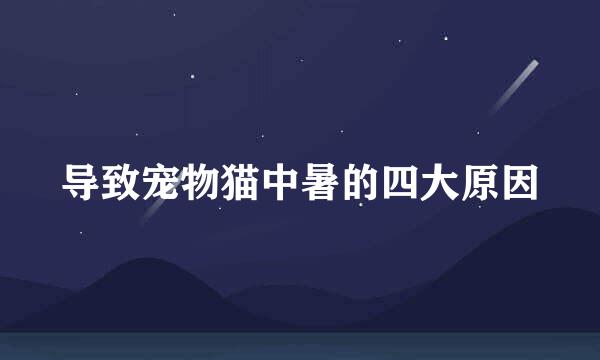 导致宠物猫中暑的四大原因