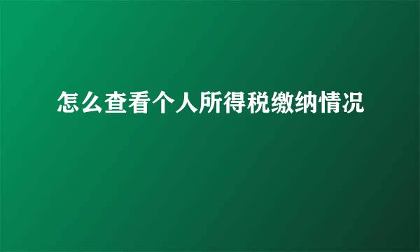 怎么查看个人所得税缴纳情况