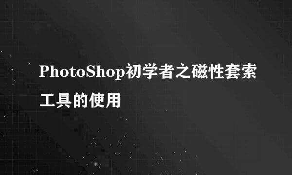 PhotoShop初学者之磁性套索工具的使用