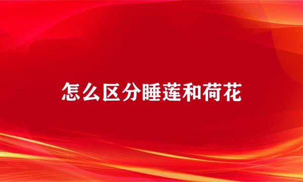 怎么区分睡莲和荷花