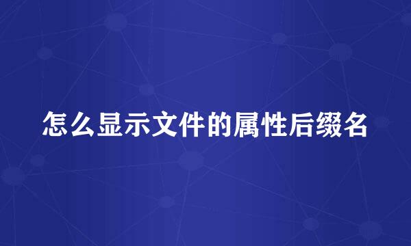 怎么显示文件的属性后缀名