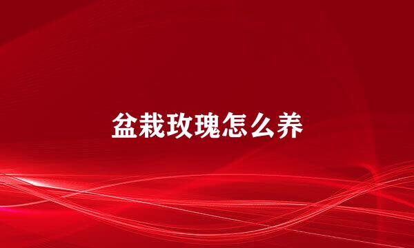 盆栽玫瑰怎么养